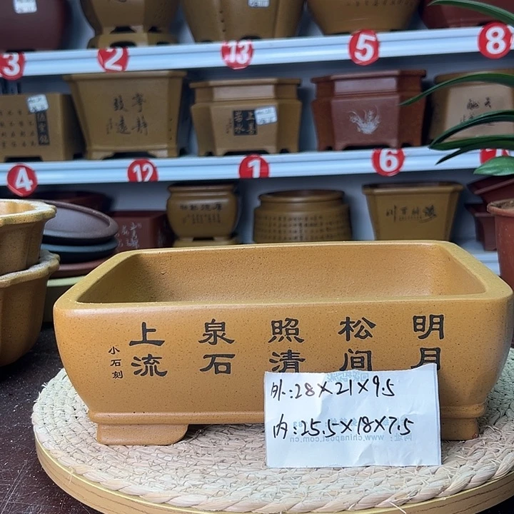 紫砂花盆蛇年大吉