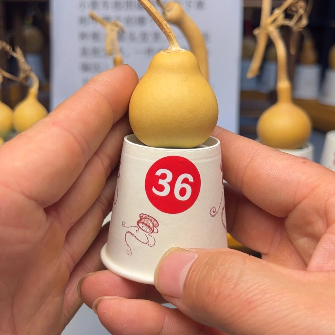 闪电购自助下单编号36