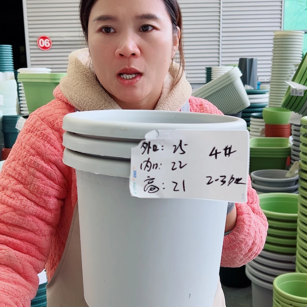 四季盆4#灰白色8个无托