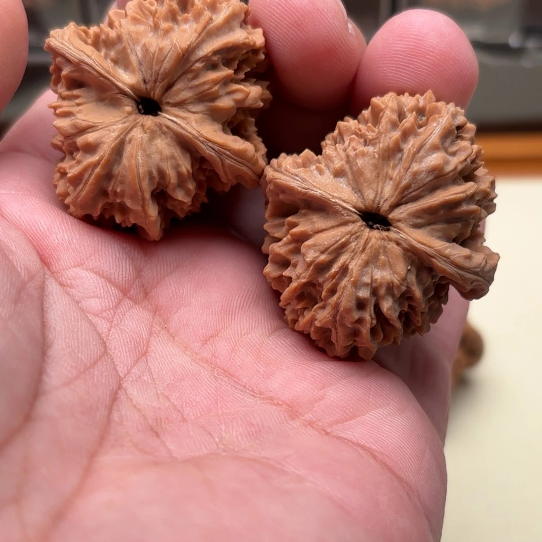 把件文玩核桃皇冠狮子头