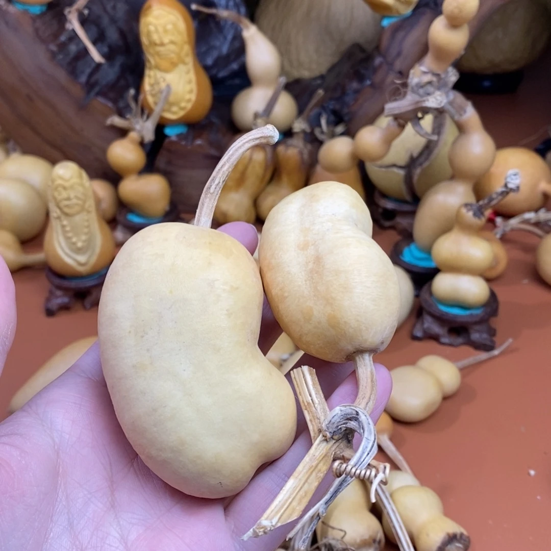靖***海教练咯教练咯教练咯