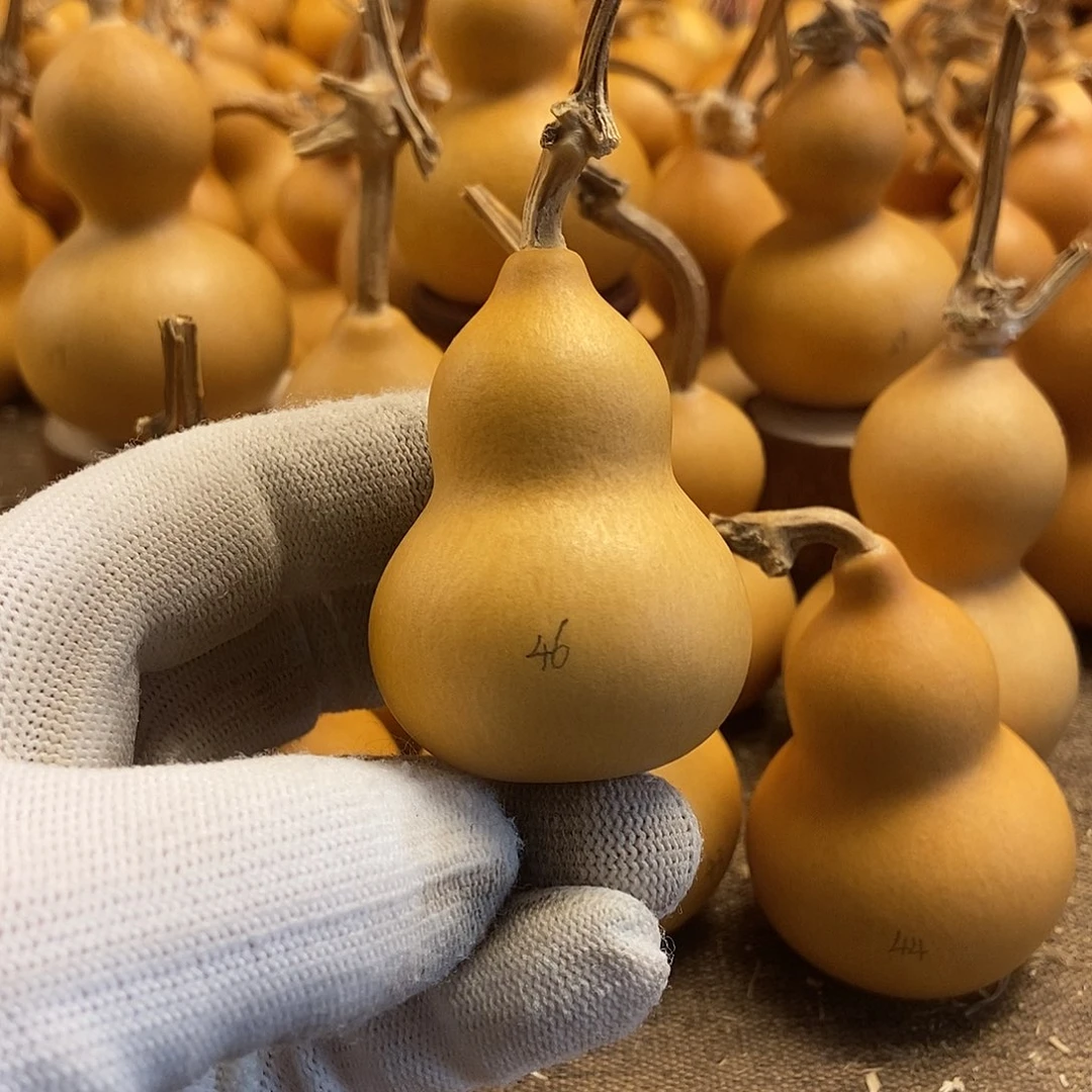 文玩葫芦 完美主义者 慎拍46