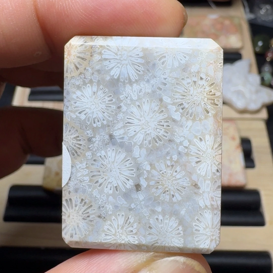 未镶嵌纯天然色有机玉石保真色硅化玉
