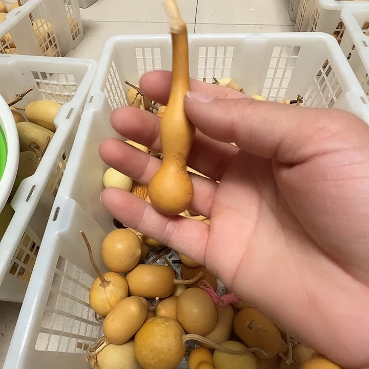金**堂谢谢谢谢谢谢谢谢谢谢谢谢