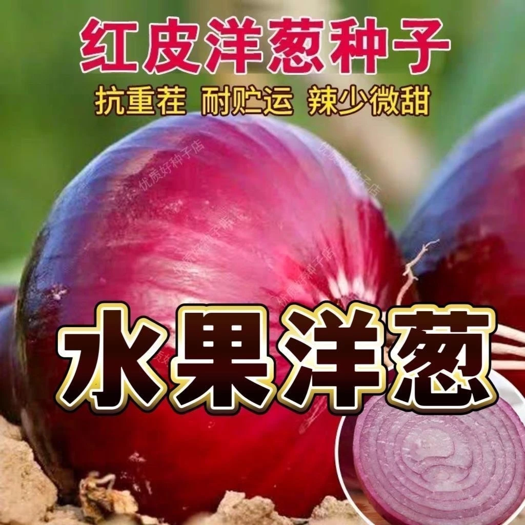 【满5包包邮】原种洋葱种子秋冬季蔬菜种子外皮红肉白口味香