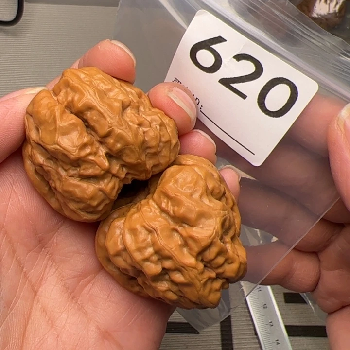 核桃40边45肚620号蛙