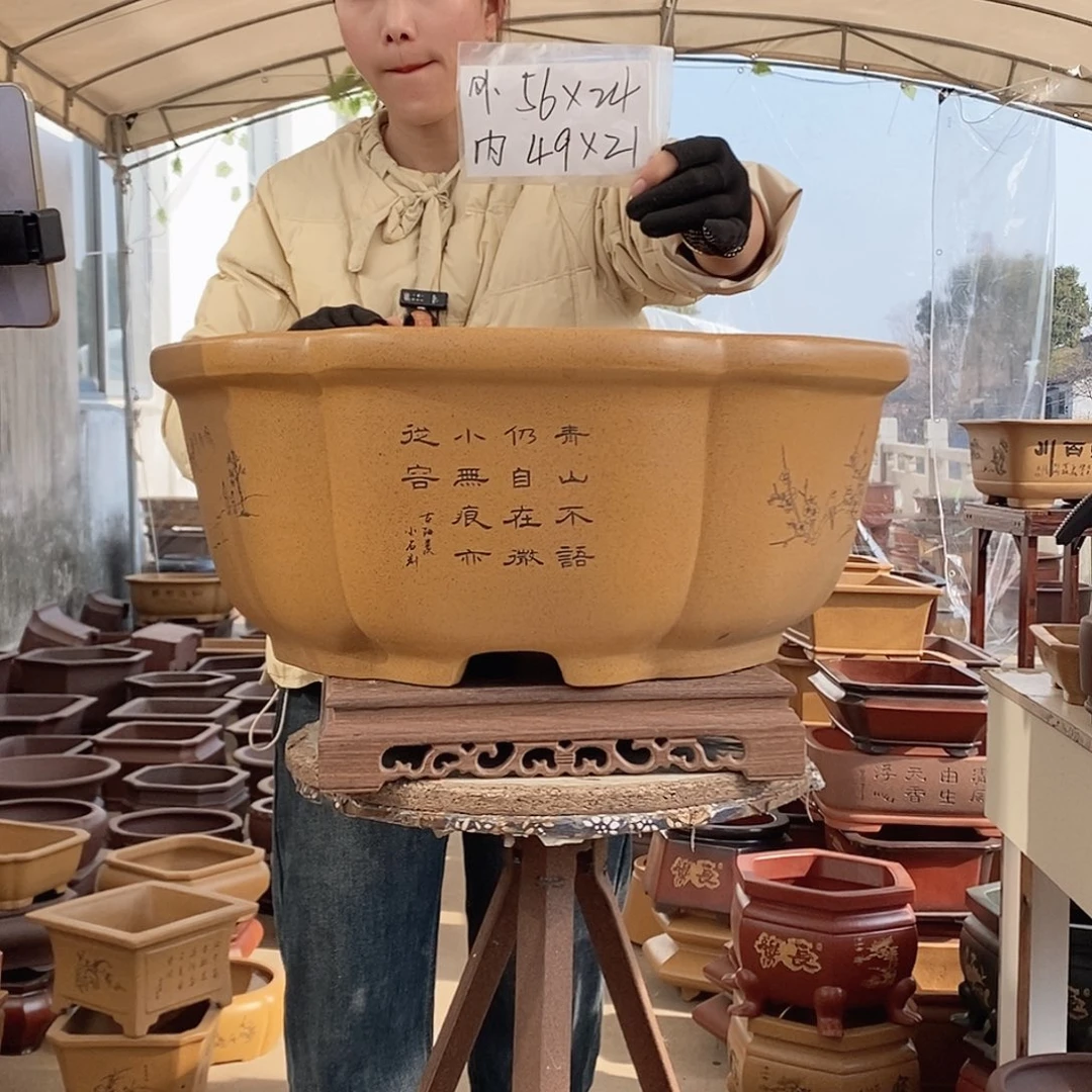 紫砂花盆紫砂花盆