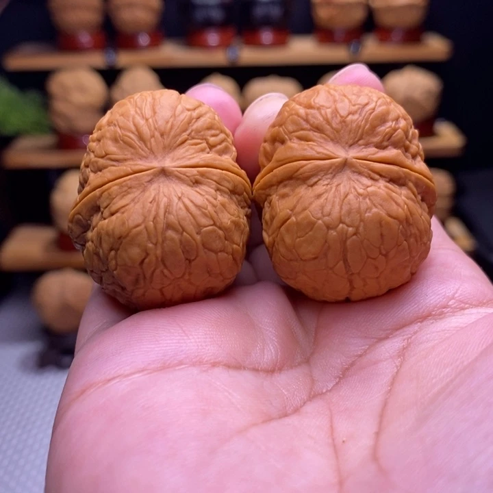 木质类云铁寿星元宝12号