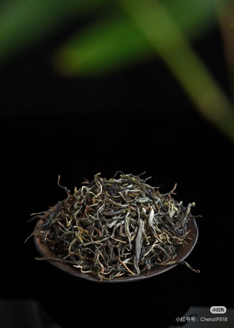 2025明前头春梅子韵生普地块茶树口碑第一生普