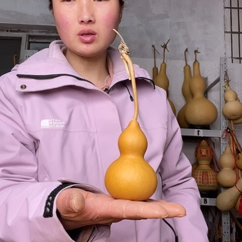 R**k天然植物葫芦文玩