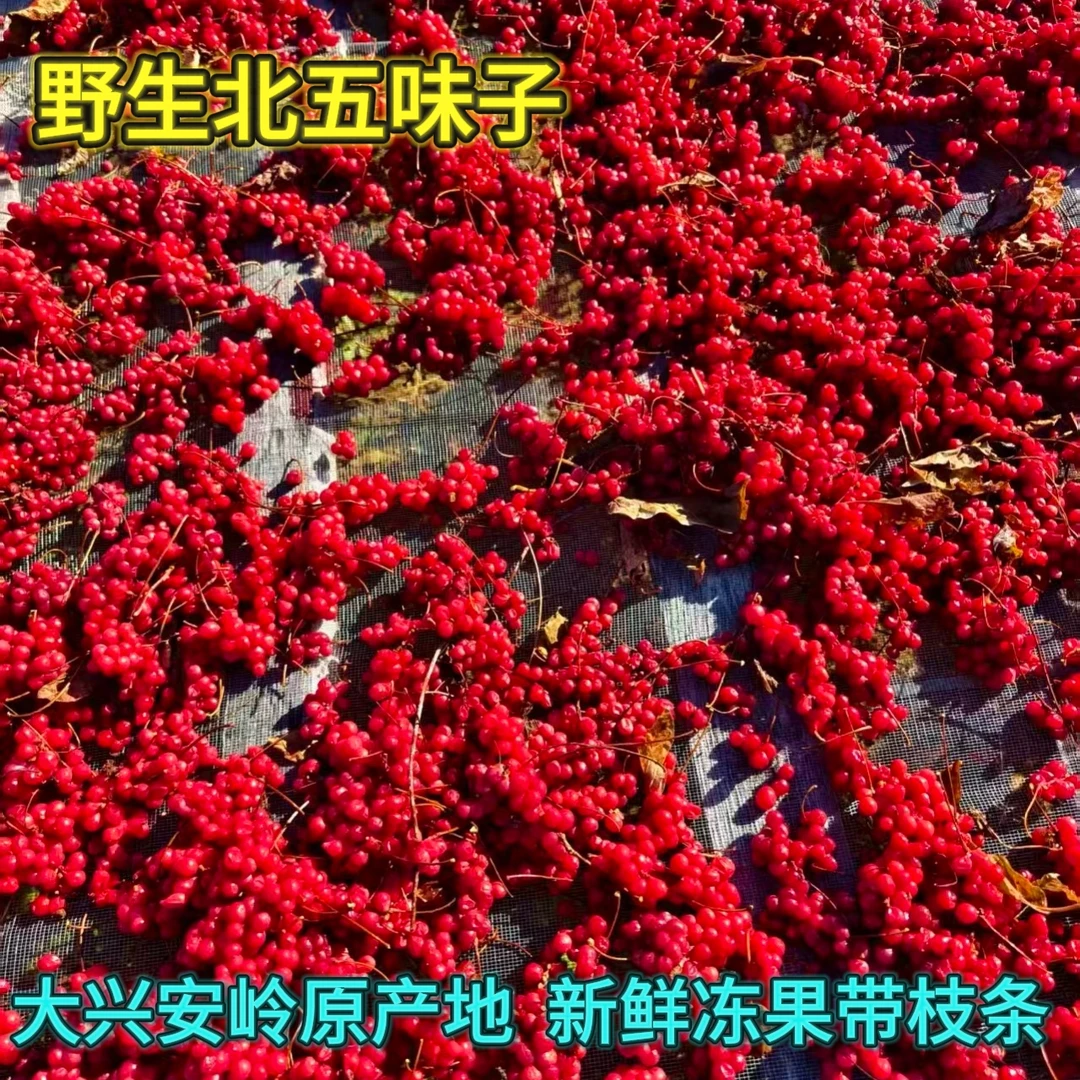 北五味子新鲜冻果野生五味子鲜果速冻适合泡酒泡茶泡蜂蜜泡水都行