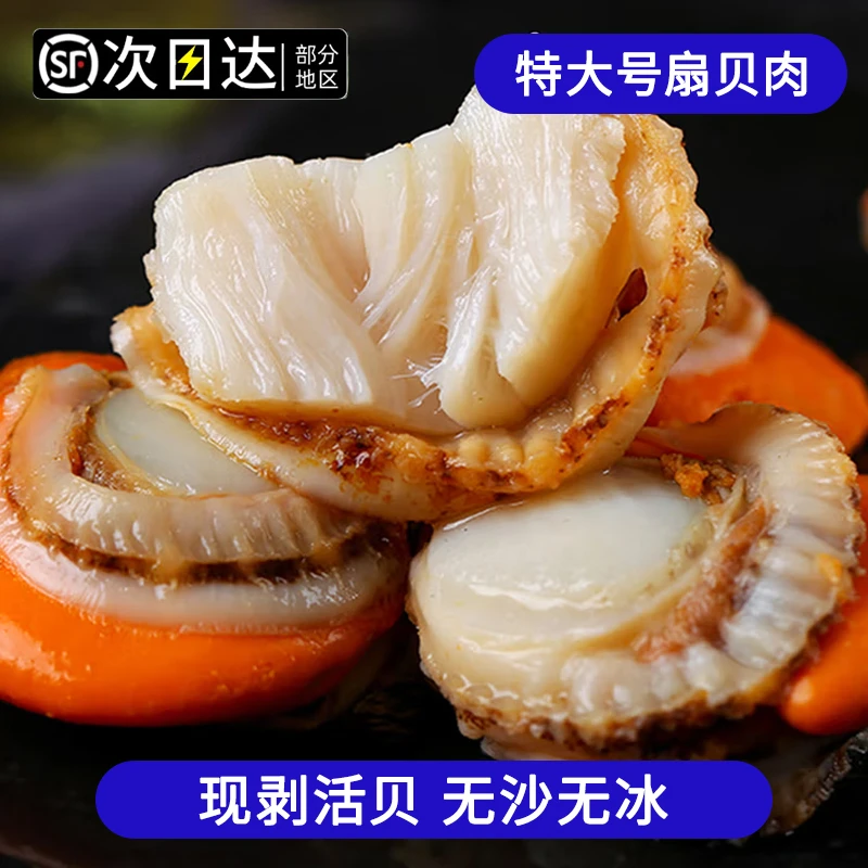 顺丰包邮【40/60大号五斤扇贝肉】带黄带膏新鲜冷冻扇贝肉特产美食
