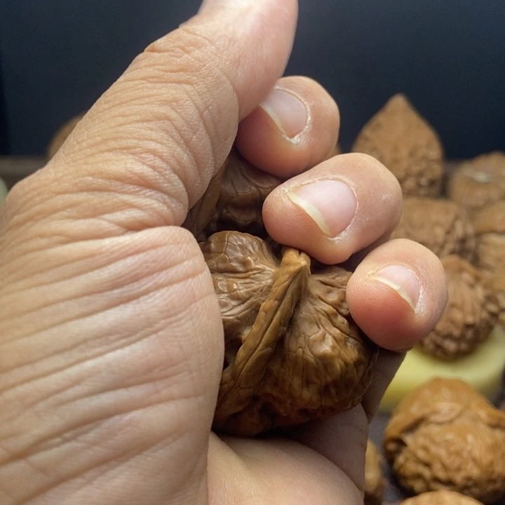 罗***森昌化石印石古缠1234554个行政乡