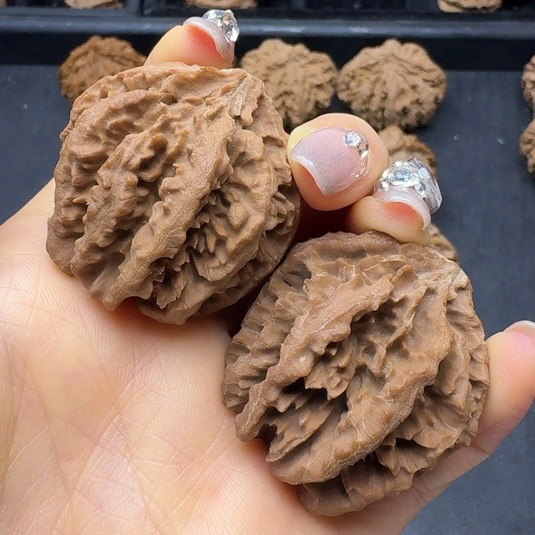 桃木突突突突突突突突