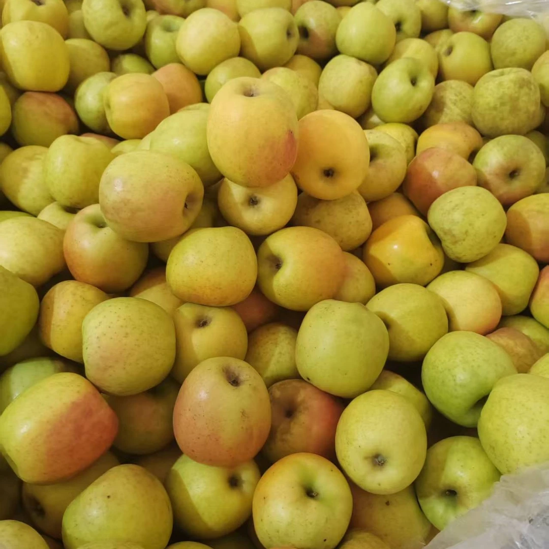 昭通当季采摘瑞雪苹果纯甜无酸新鲜多汁水果