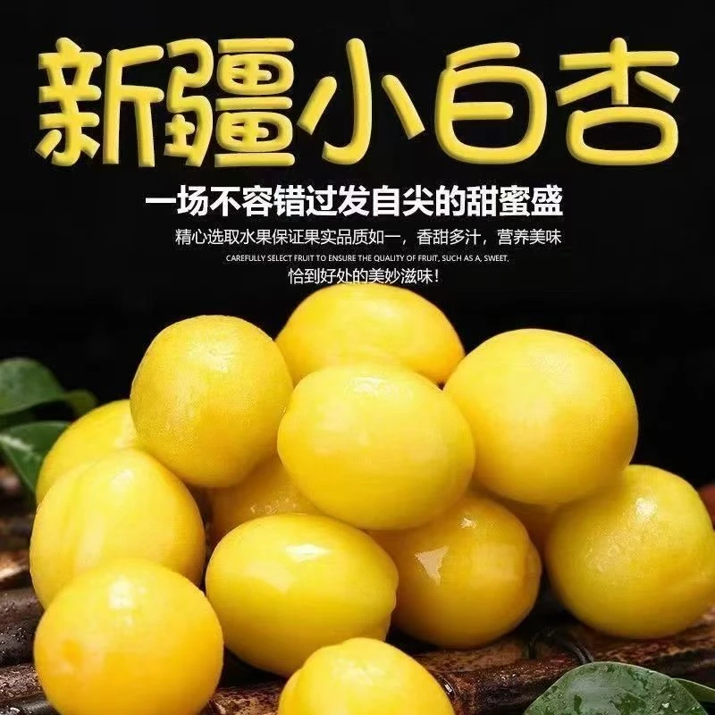 【一合杏福】精品新疆轮台小白杏新鲜饱满鲜嫩多汁新鲜水果空运直发