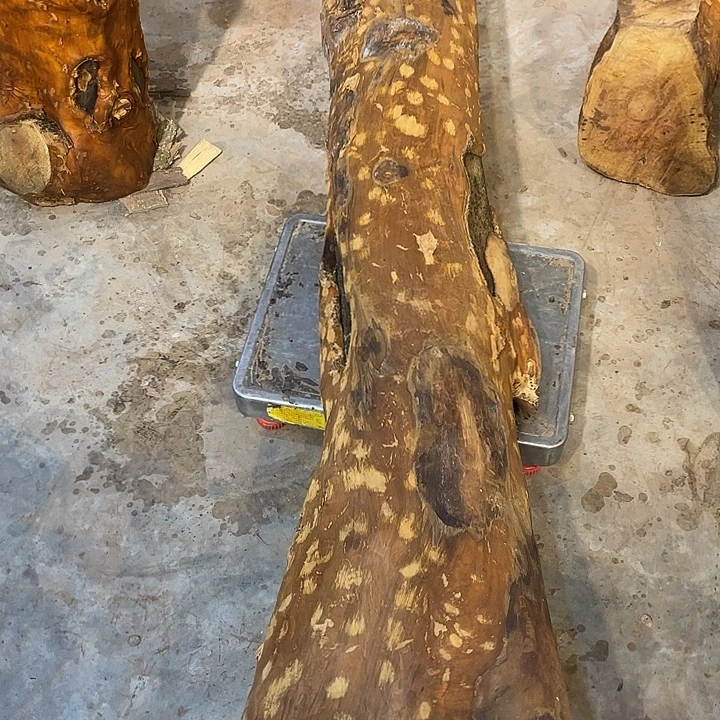 阿祥木业 一物一拍