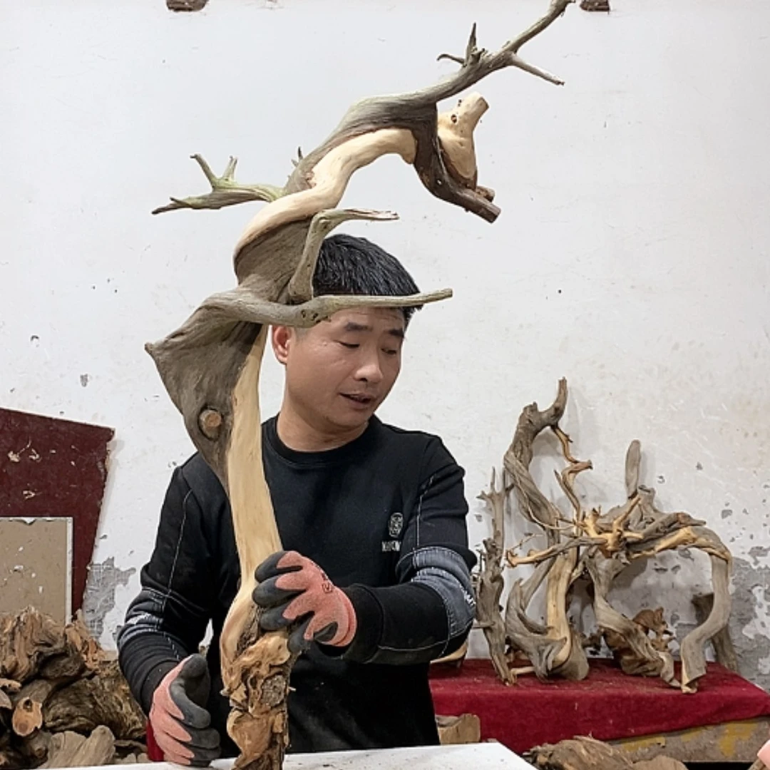 【闪购商品】柏木猫****售我们都是好孩子