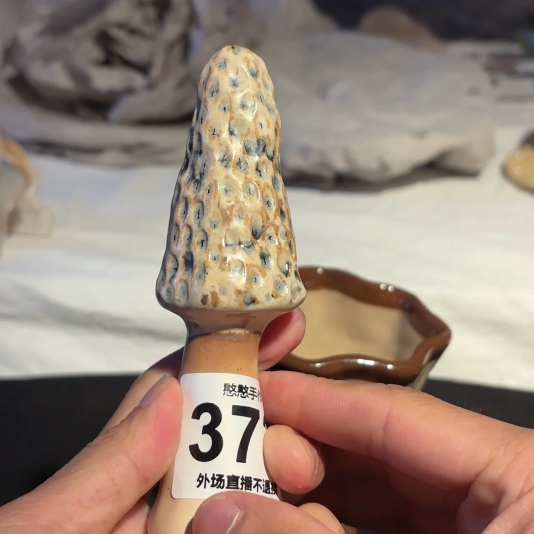 瓷片用****1可爱的鸭鸭鸭