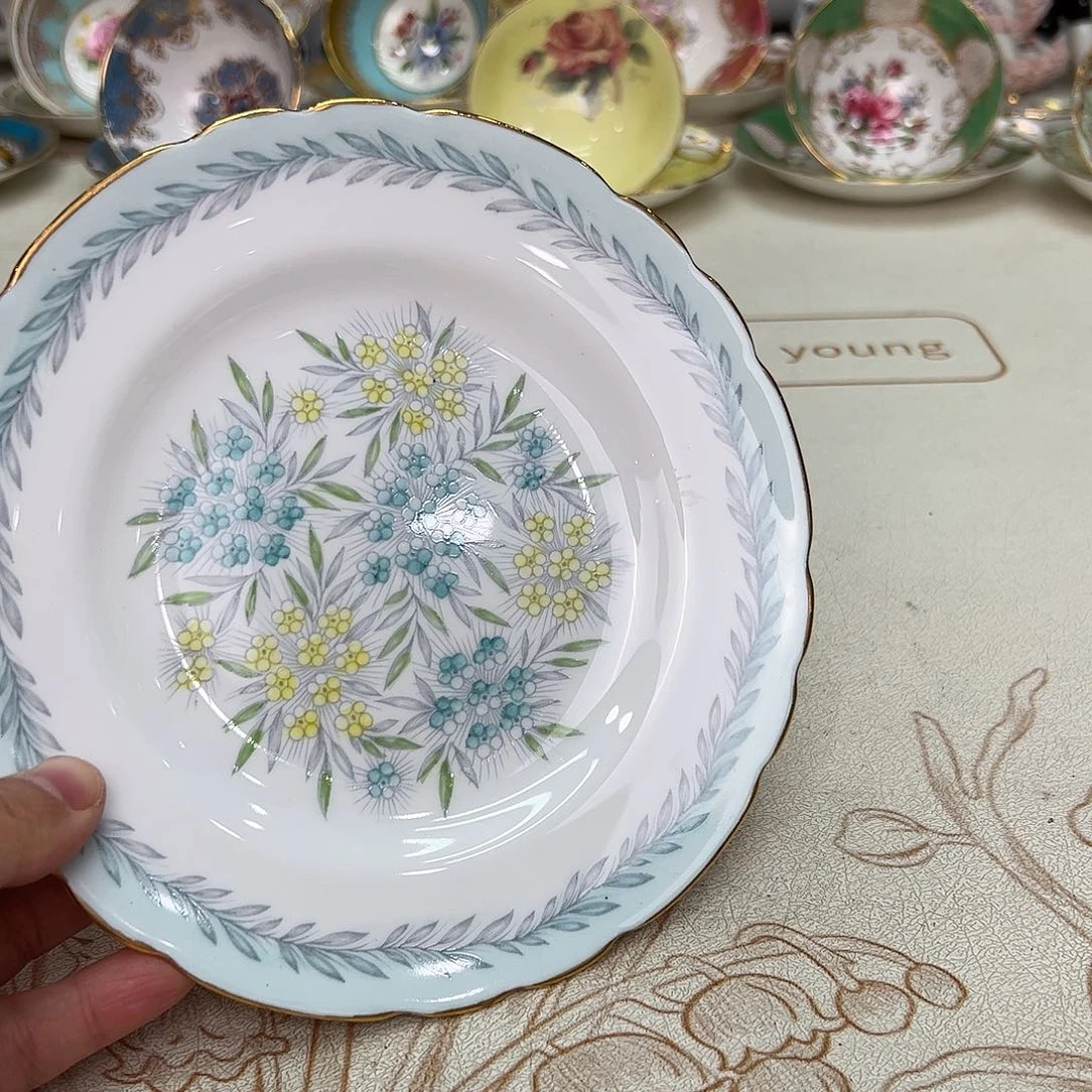 盘维多利亚欧洲中古