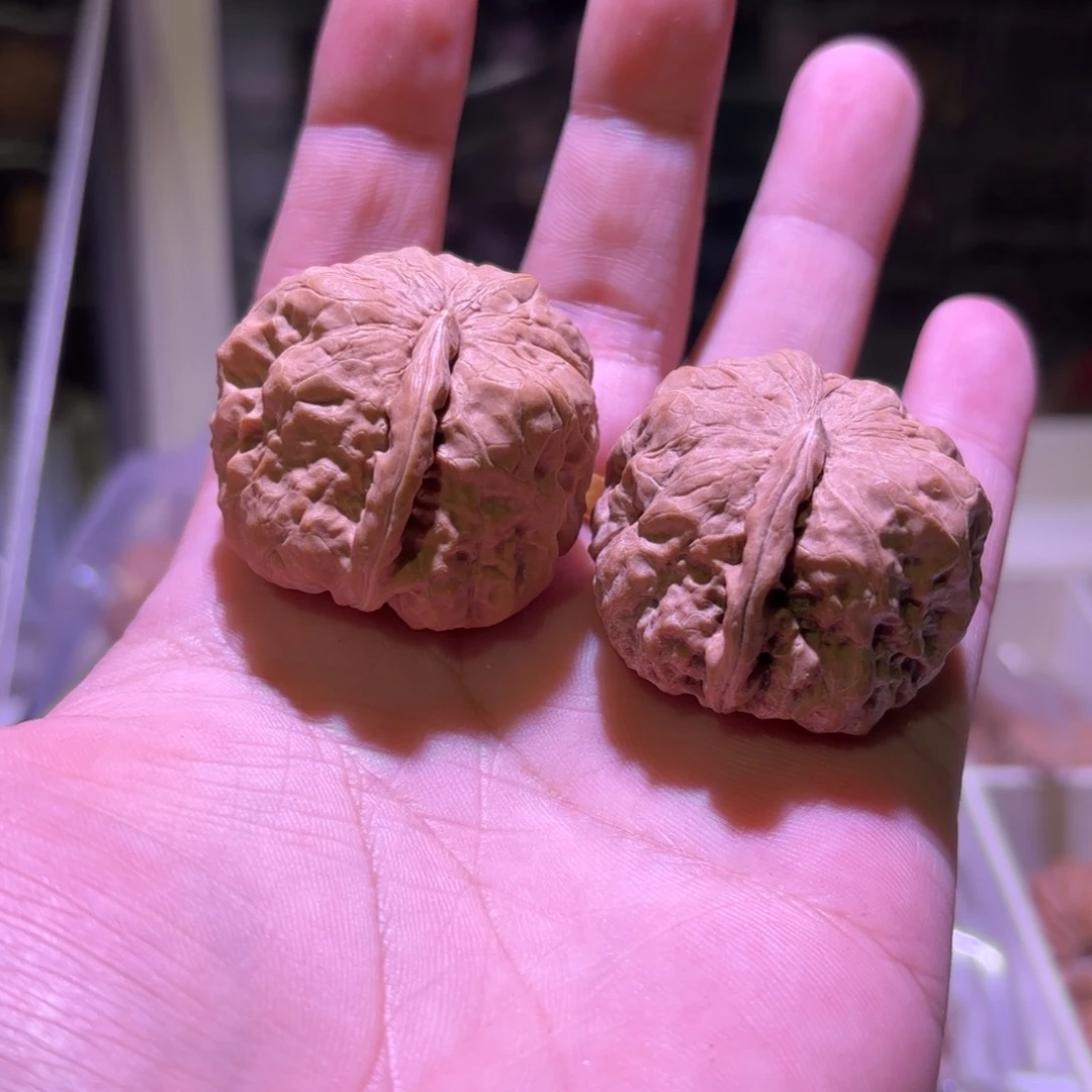 小*蛤蟆头一帆风水。38全品