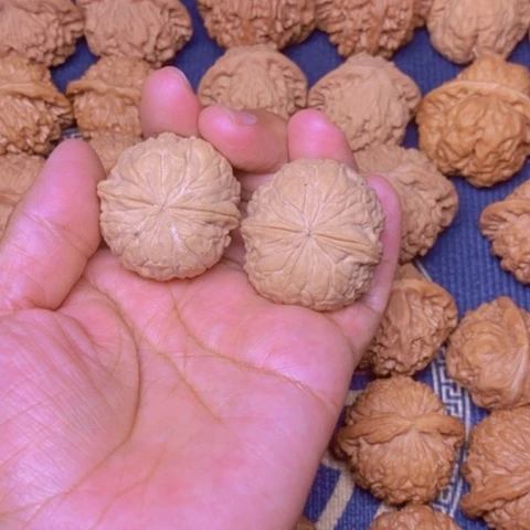 【闪购商品】文玩核桃吊坠慈**舍金蟾尊36
