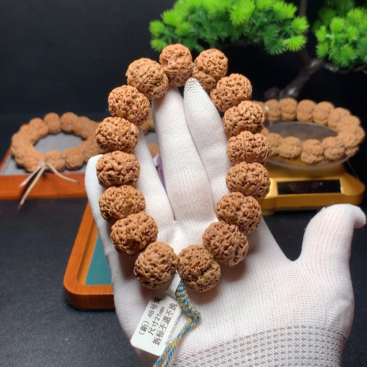 金刚菩提吊坠21飞碟精品五瓣新籽