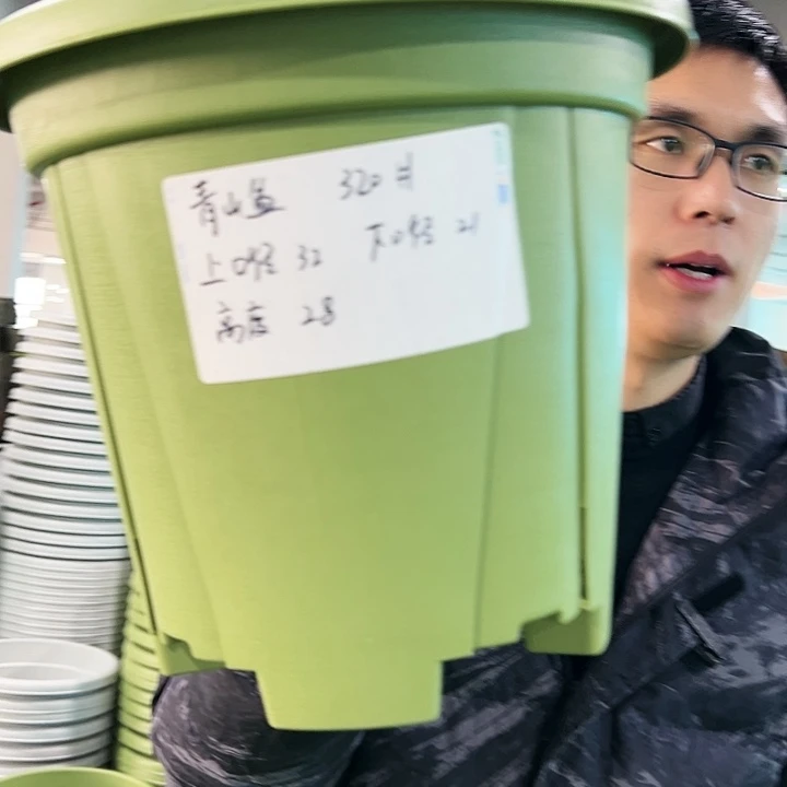 正品青山口32高28果绿无托5只