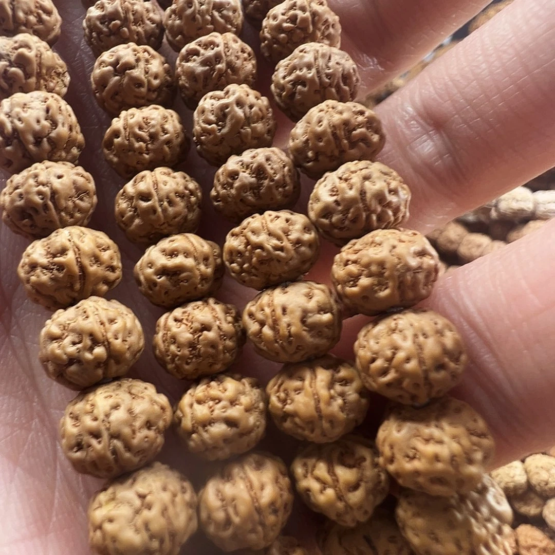 P***x金刚菩提吊坠9米，老树王