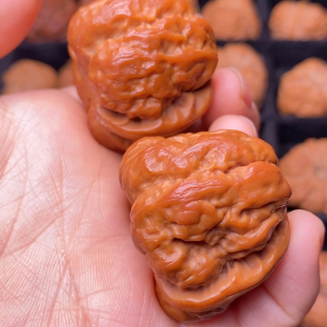 文玩核桃把件秦岭野生核桃