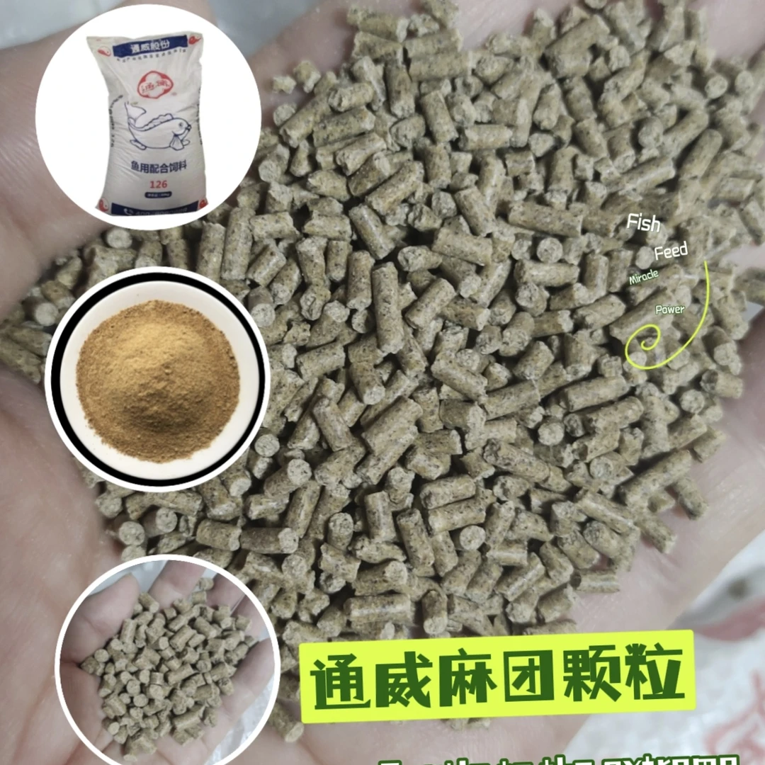5斤装通威2mm麻团颗粒34毫米打窝颗粒缓沉颗粒鱼饲料黑坑颗粒粉