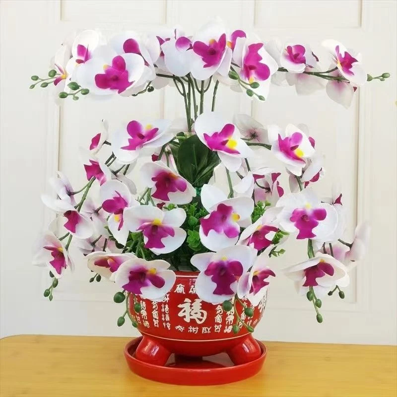 【四季开花】耐寒浓香型大花盆栽室内外懒人好养不死花卉大全驱蚊