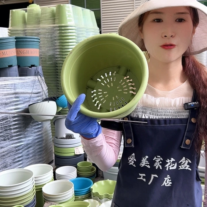 四季盆3#果绿色10个无托