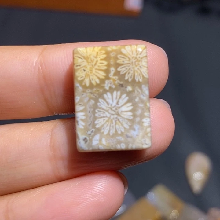 【闪购商品】未镶嵌珊瑚玉硅化玉