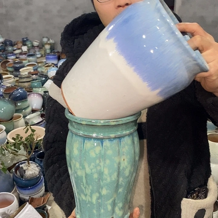 红陶尾颜色随机啦啦啦