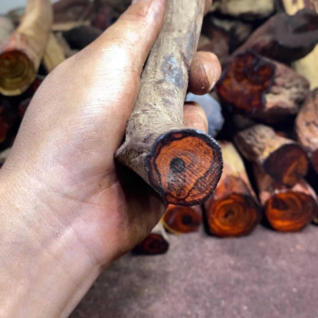 且***护有机玻璃在线函数在应用