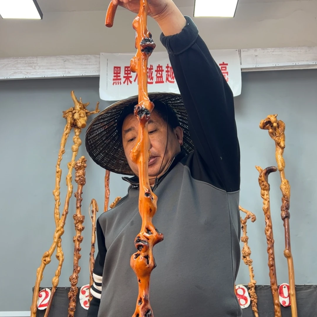 黑果木其他俩**爹黑果木595