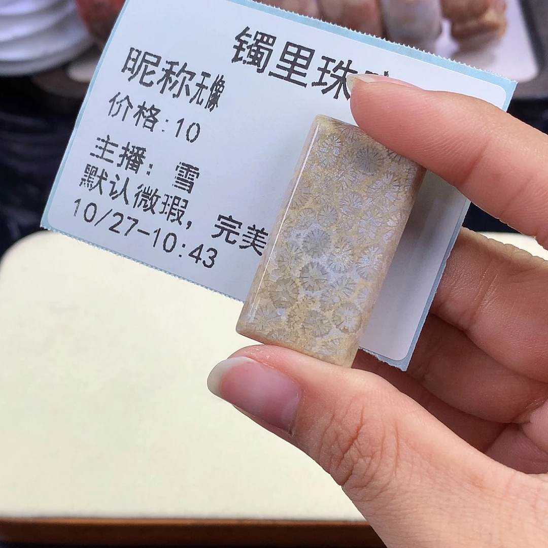 无***像硅化珊瑚（珊瑚玉）未镶嵌吊坠(赠链)