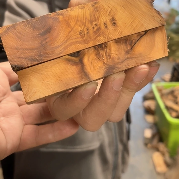 古***者柏木（崖柏）你222222222