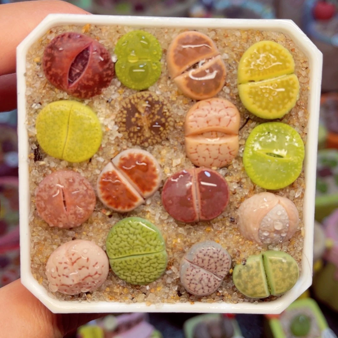 634. 568758868675545777