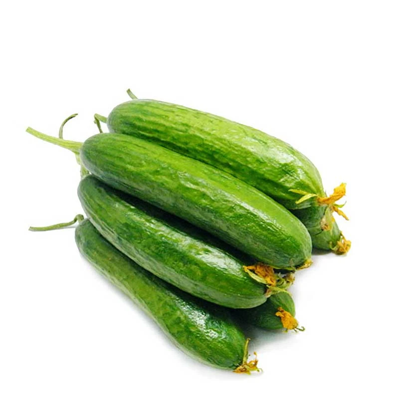 【蔬菜】无籽黄瓜约300g/份黄瓜同城送黄瓜同城配