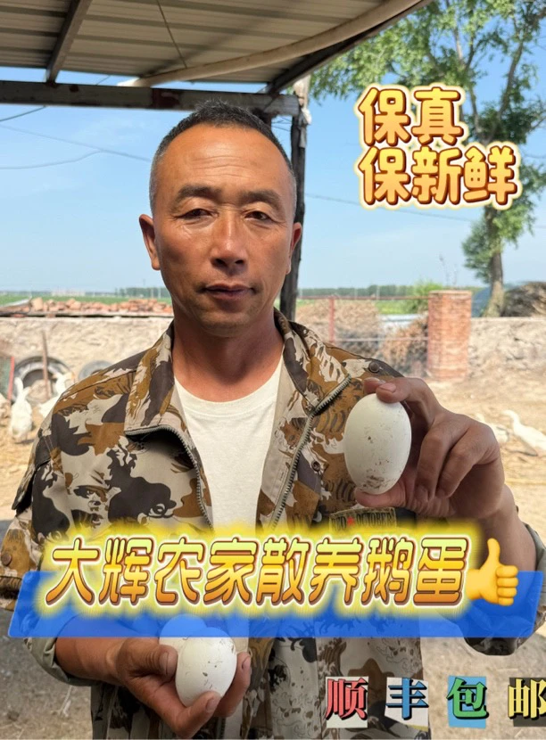 大辉农家散养土鹅蛋 老人孕妇宝宝的营养蛋12枚1400g左右顺丰包邮