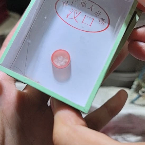 过冬大黄蛉三条中短须