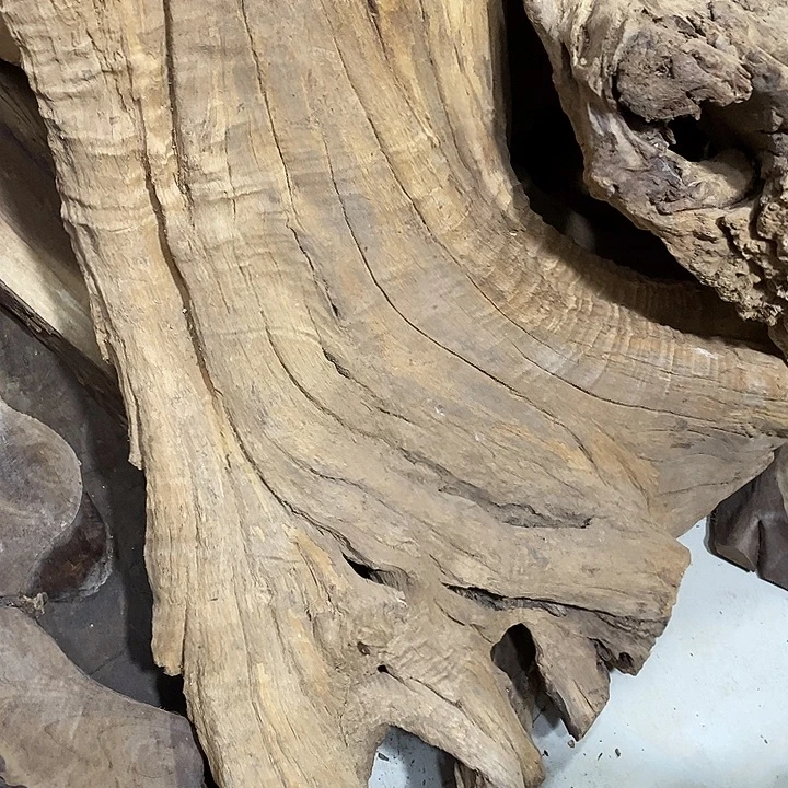 金丝楠木小叶桢楠木