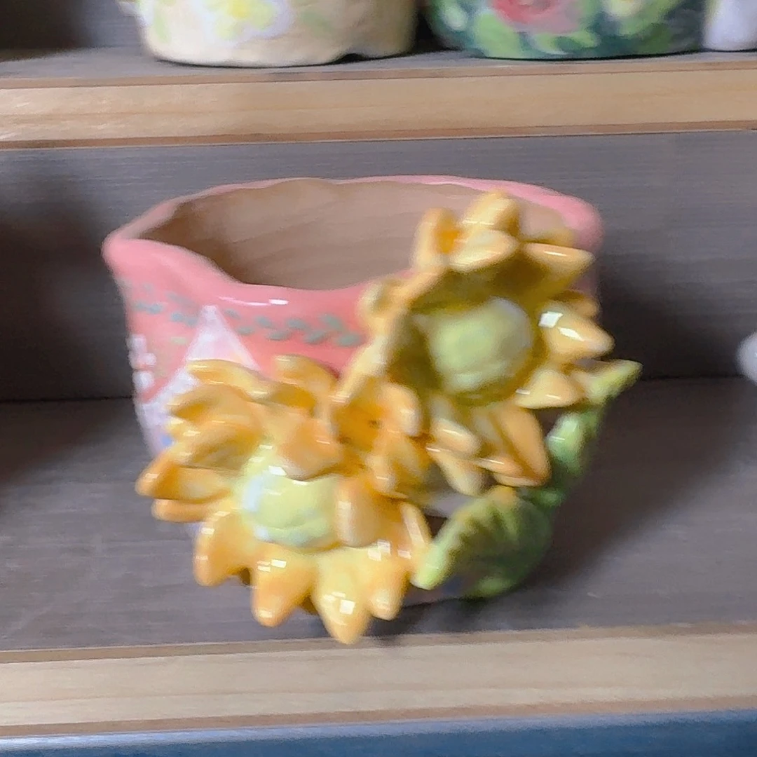 老梧家的手工陶瓷多肉花盆
