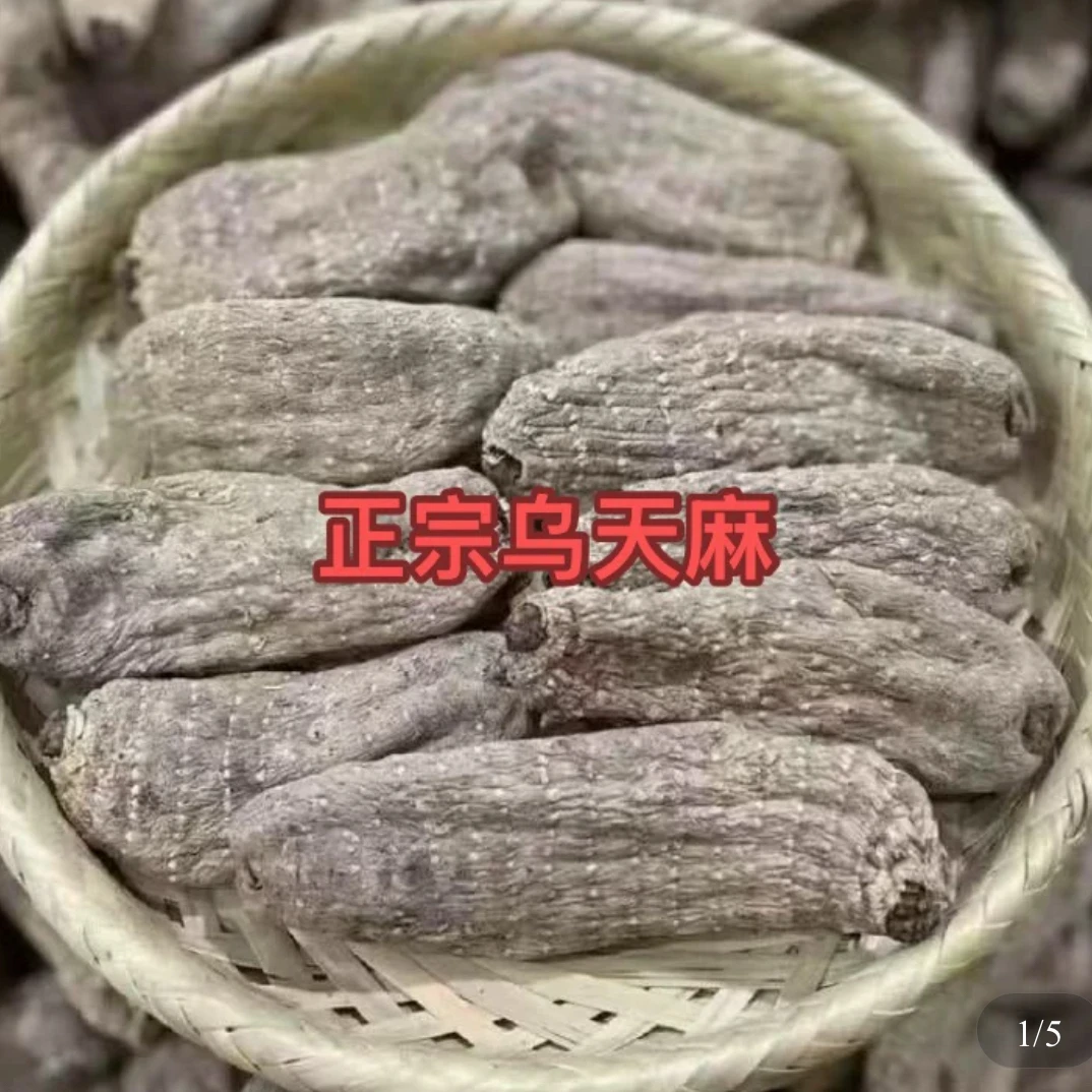 深山采挖自然滋补乌天麻可煲汤泡酒的高山土特产