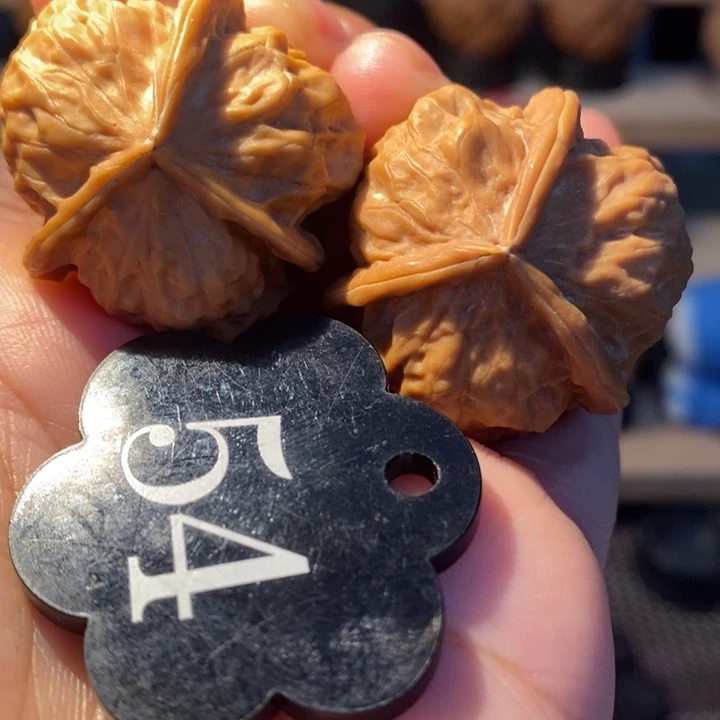 核桃25号链接龙骨三棱32尺寸