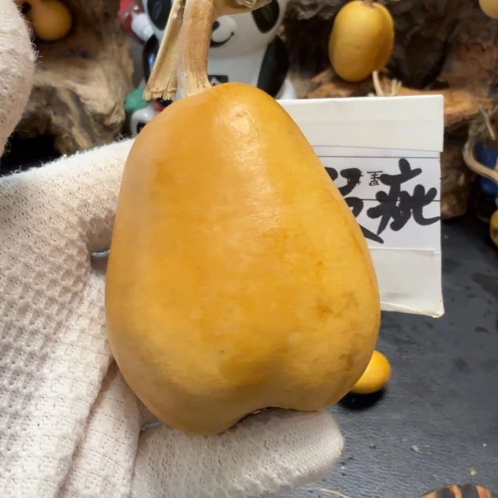 芮****666666666666666667667