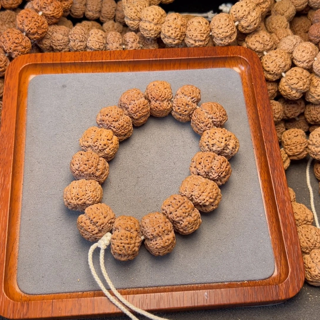 菩提9号尼泊尔大金刚26五星夹板菠萝蜜