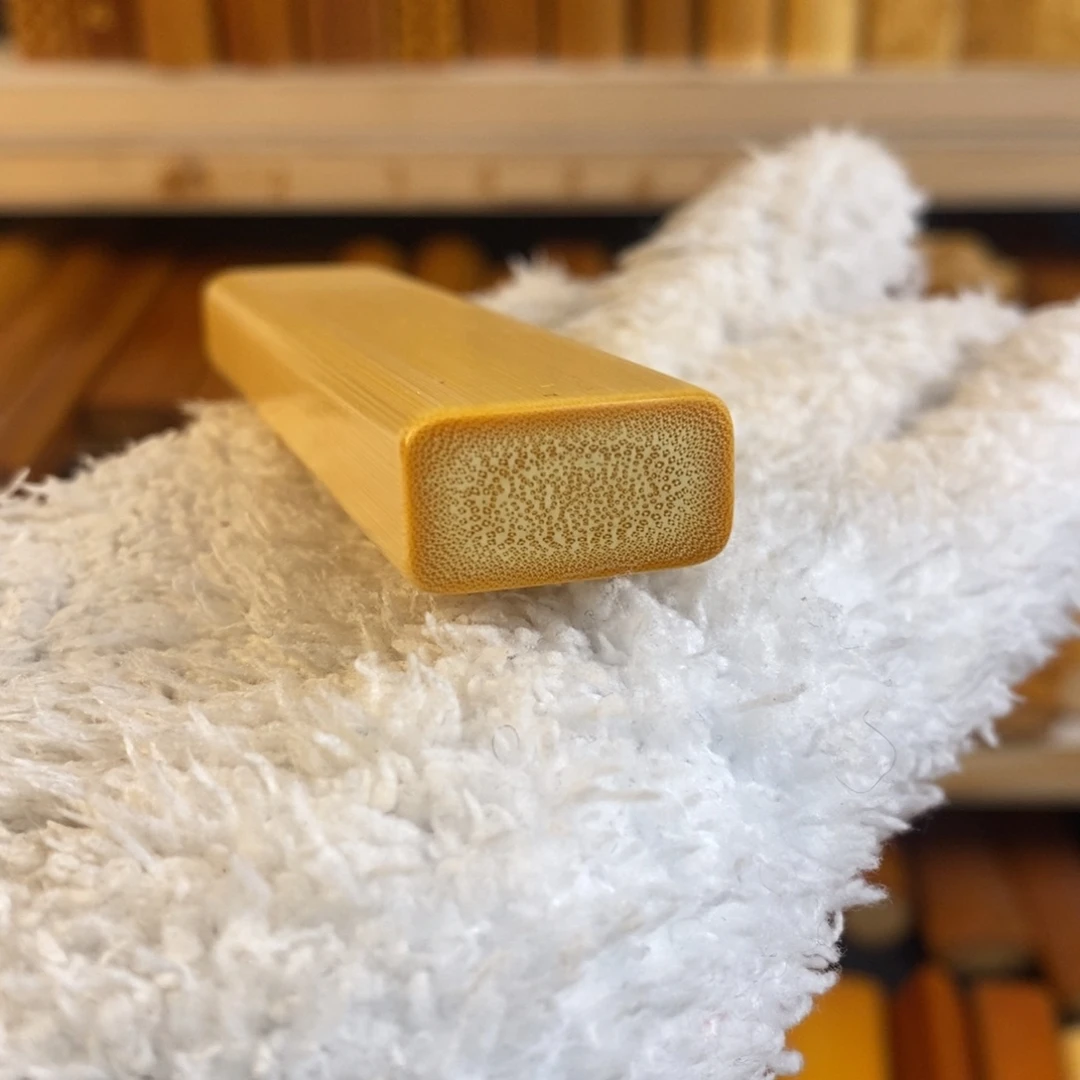 竹实心玉竹 一物一图